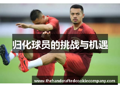归化球员的挑战与机遇